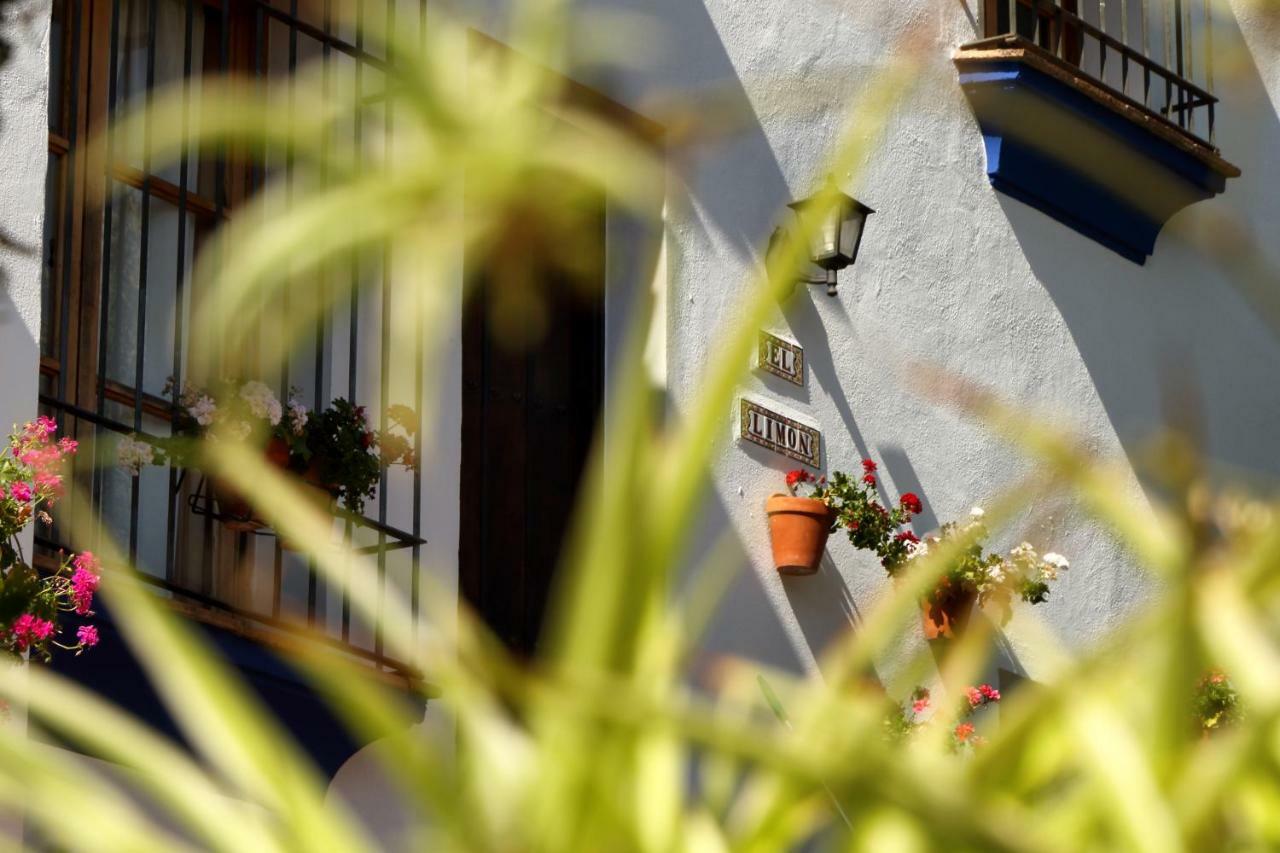 Casitas De La Sierra Villa Montejaque Bagian luar foto