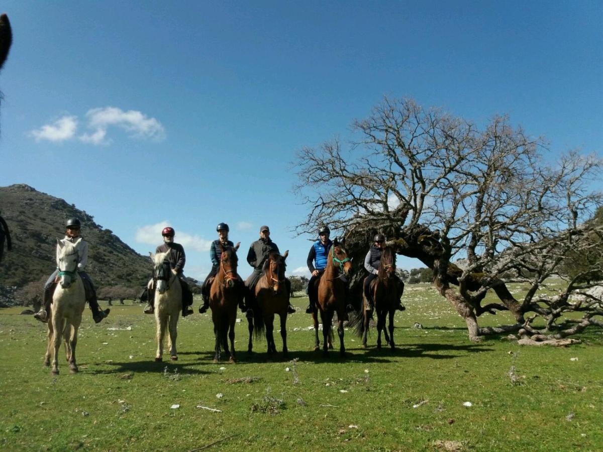 Casitas De La Sierra Villa Montejaque Bagian luar foto